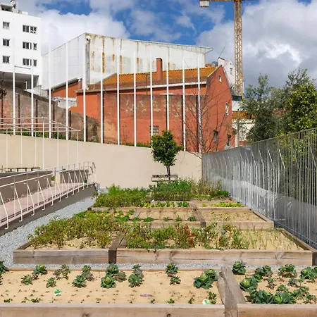 Apartman Jardins Da Gloria Charming Living By Lovelystay *